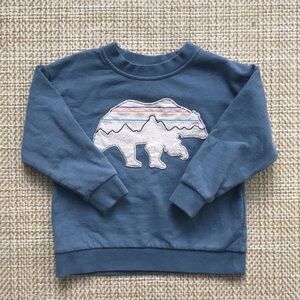 Patagonia Organic Sweatshirt (size 2T)